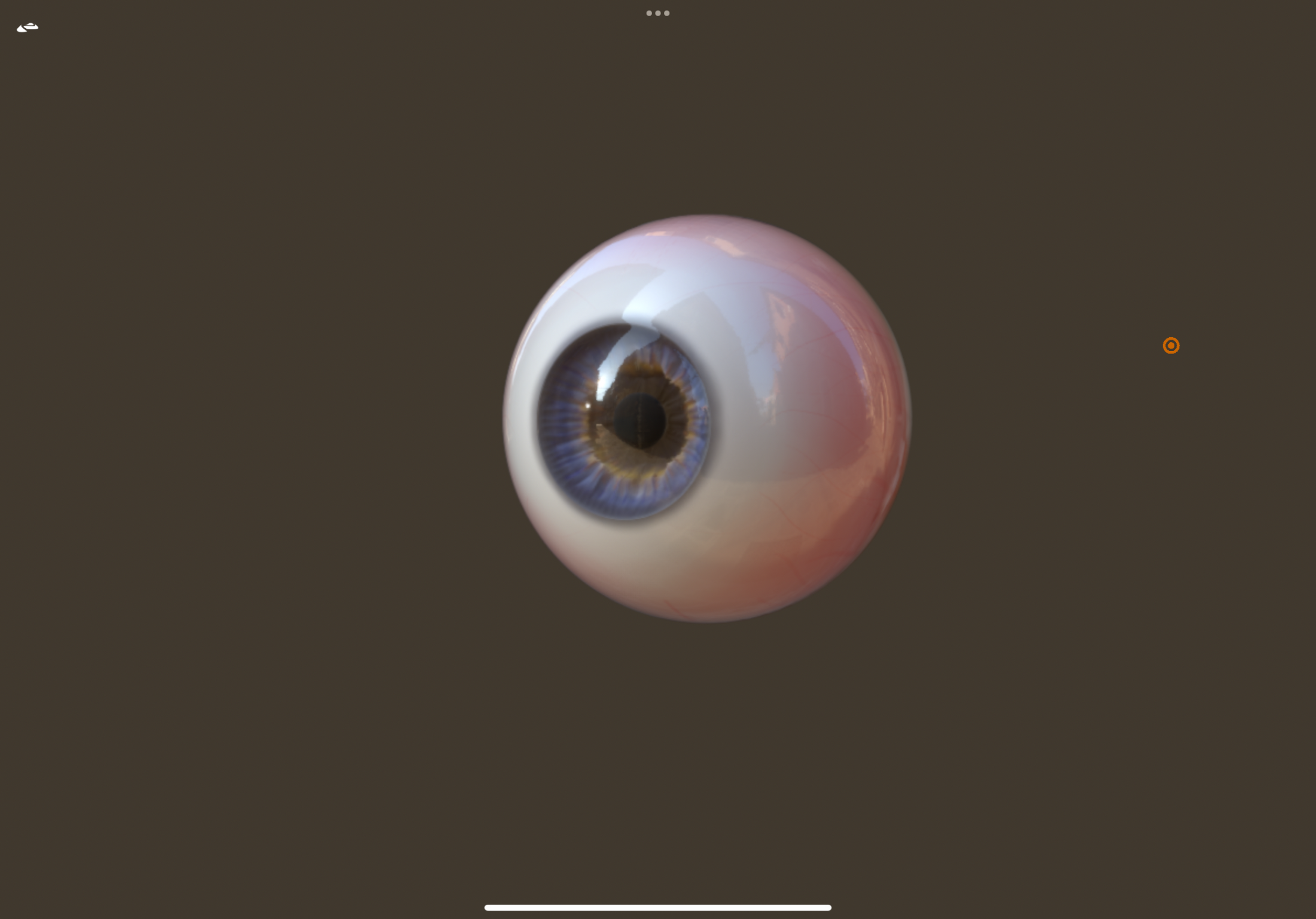 眼珠参考1